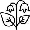 Подарки к Навруз
